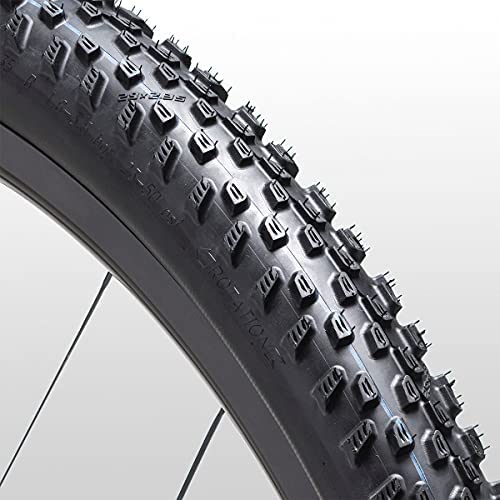 SCHWALBE - Racing Ray XC Race Tubeless Folding Front Wheel Bike Tire | 29 x 2.25 | Evolution, Super Race, Addix Speed Grip | Black/Transparent