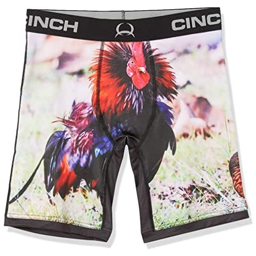 Cinch Men's 9" Printed Boxer Brief, Multi, S