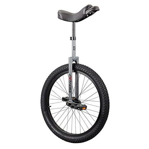 SUN BICYCLES Flat Top Extreme DX Matte Gray 2014 20 Inch
