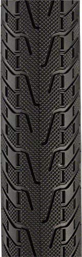 Panaracer Pasela ProTite 700 x 35c Folding Tire , Black/Amber