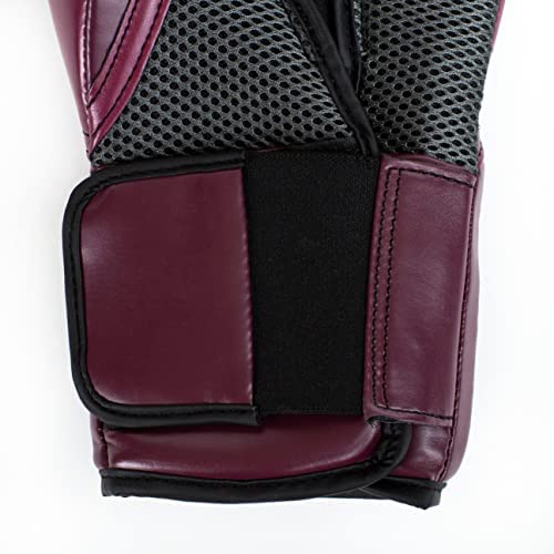 Everlast P00002347 Elite V2 Training Glove Wine 14OZ