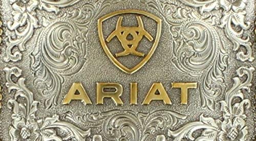 Ariat Men's Rectangle Round Edge Belt Buckle, Silver, Gold, OS